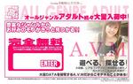 A.V.M